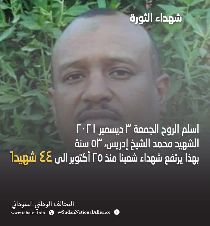 بنرات وبوسترات